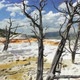 Mammoth Hot Springs - VideoHive Item for Sale