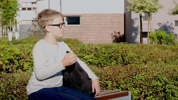Schoolboy with Glasses Sitting on Wooden Bench Outdoors and Eating Apple alt