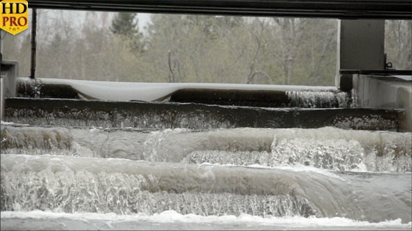 The Rushing of Water from a Fish Ladder
