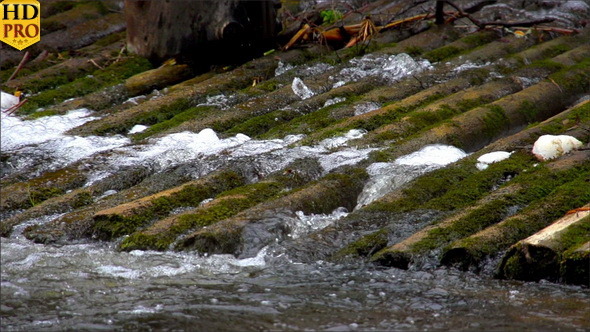 Water Popping Out from the River alt