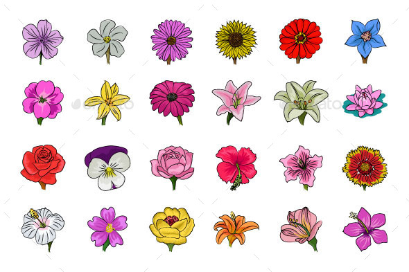 Floral Hand Drawn Colored Icons - Icons