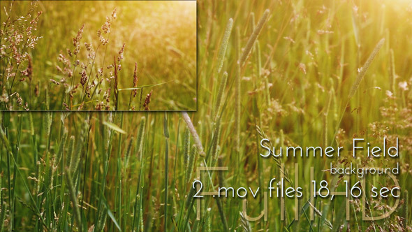 Summer Field alt