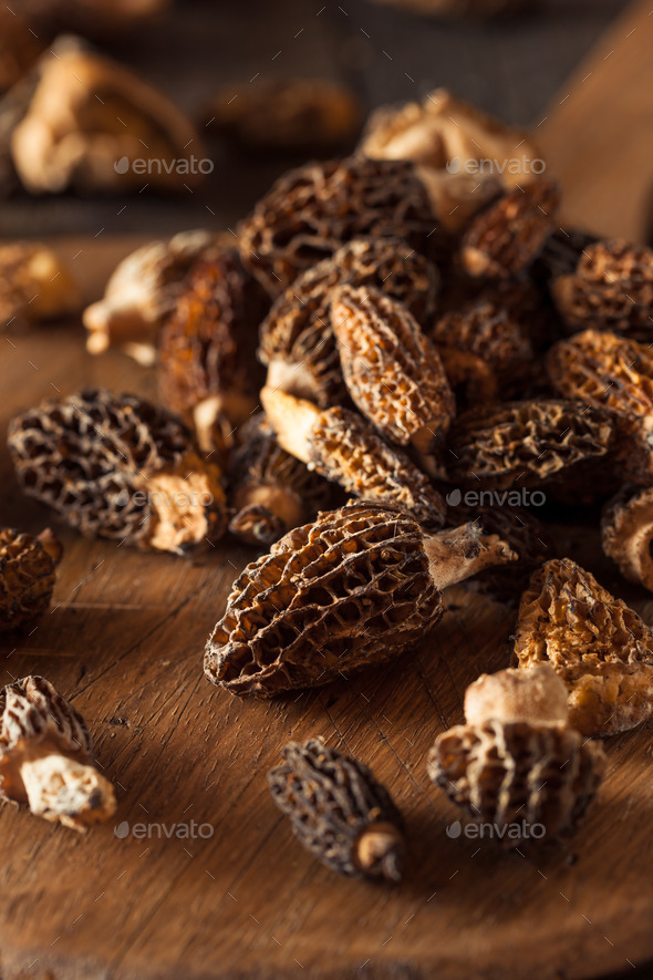 Raw Organic Morel Mushrooms Stock Photo by bhofack2 PhotoDune