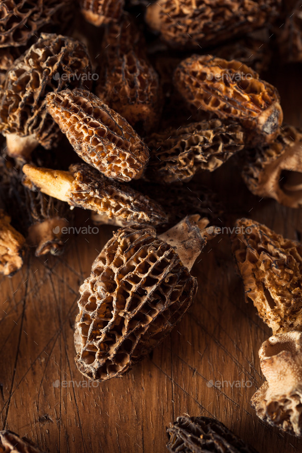 Raw Organic Morel Mushrooms Stock Photo by bhofack2 PhotoDune