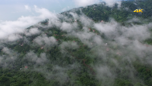 Aerial Flying Over Above Forest on Clouds Fog 2 alt