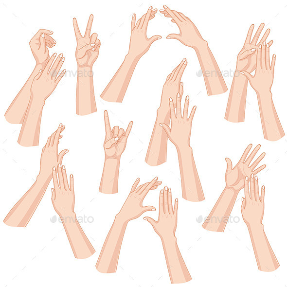 Woman Hands Set - Miscellaneous Vectors