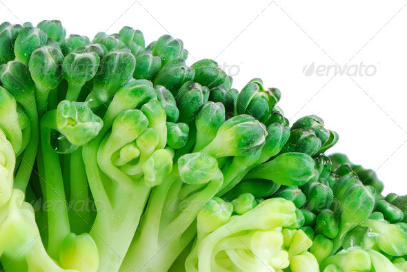Broccoli - Stock Photo - Images