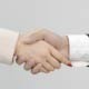 Business Hand Shake, Welcoming Partner - VideoHive Item for Sale