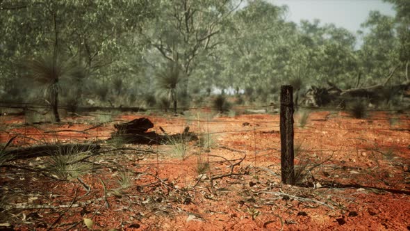 Rural Farm Boundary Fencing in Poor Condition and Long Dead Dry Grass alt