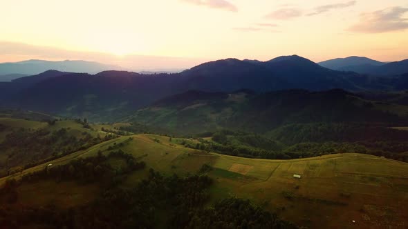Aerial View of the Endless Lush Pastures of the Carpathian Expanses and Agricultural Land