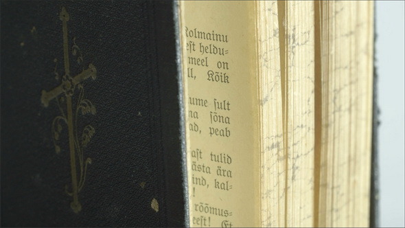 The Side Details of the Bible