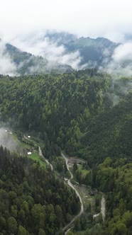 Carpathian Mountains alt