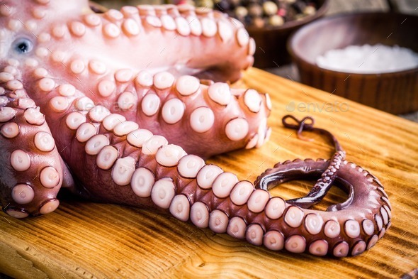 Fresh Octopus Tentacles 500gr