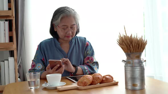Elderly Asian Woman Using a Mobile Phone Smart Payment alt