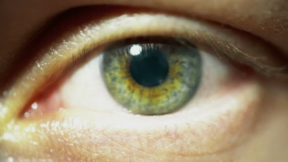 Macro Close Up of Human Green Eye