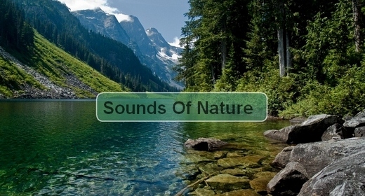 Sounds Of Nature