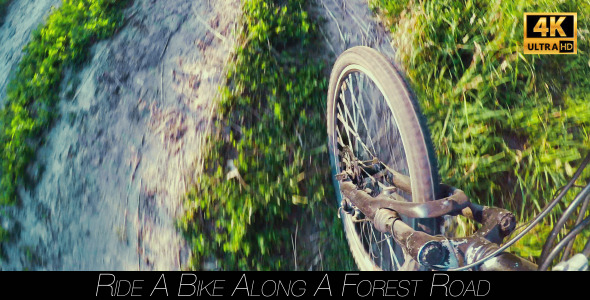 Ride A Bike Along A Forest Road alt