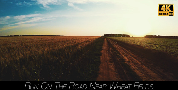 Run On The Road Near Wheat Fields alt