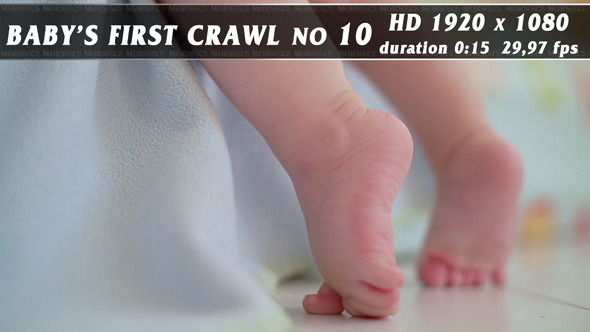 Baby's First Crawl No.10