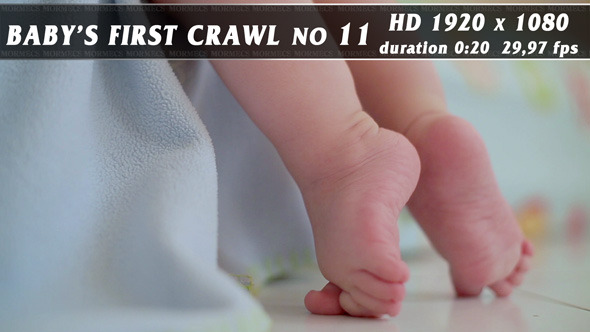 Baby's First Crawl No.11