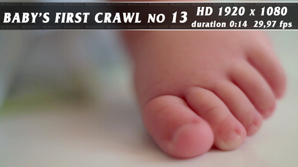 Baby's First Crawl No.13