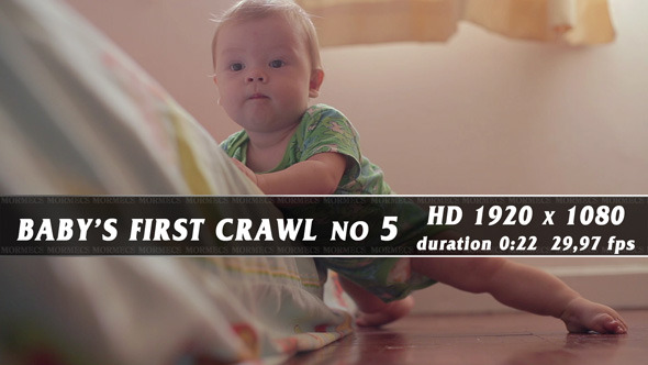 Baby's First Crawl No.5