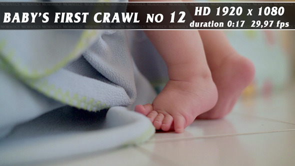 Baby's First Crawl No.12