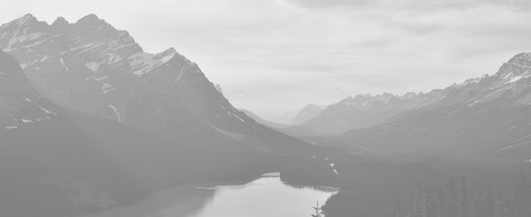 Themeforest%20cover
