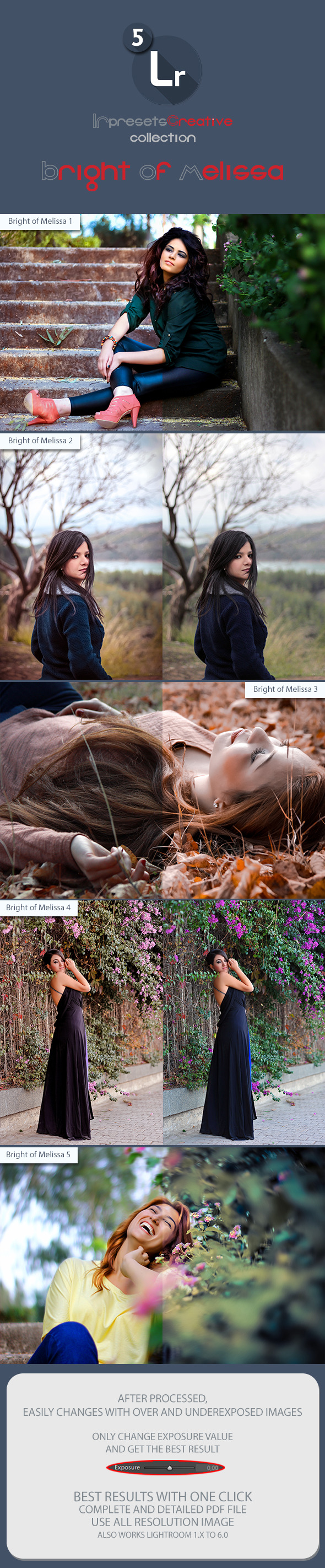 5 Lightroom Presets Collection - Portrait Lightroom Presets