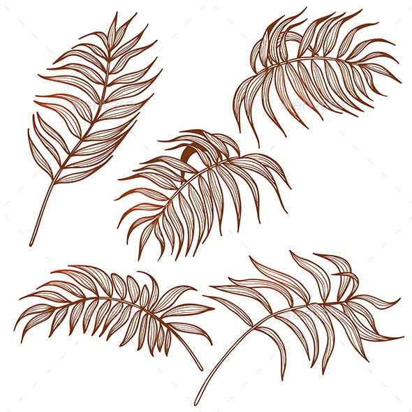 Palm Leaves Set - Flowers & Plants Nature