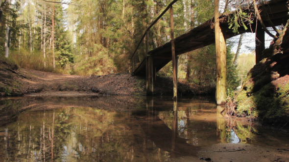 Bridge through the River in the Forest alt