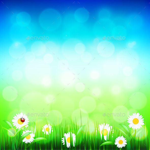 Green Grass and Blue Sky with Flowers - Landscapes Nature
