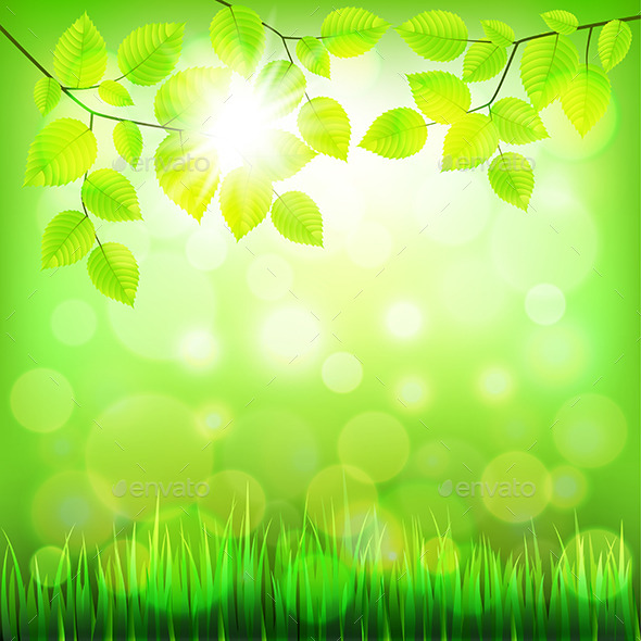 Summer Nature Background with Green Foliage - Landscapes Nature