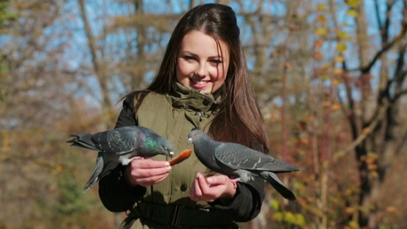 Teenage Girl Feeding Pigeons In Park