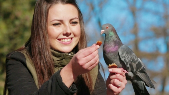 Cheerful Girl Feeding Pigeons From Hand