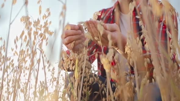 Working on a Farm alt