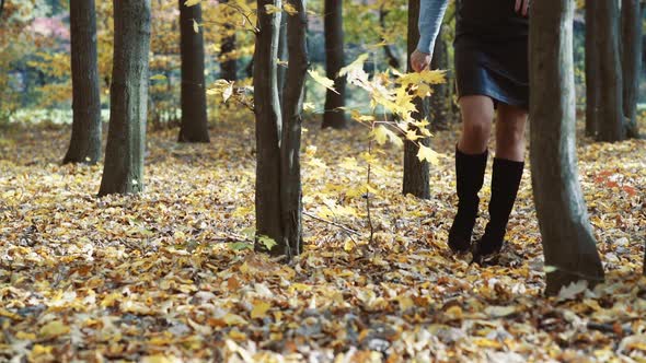 Woman legs in park. Close up of the walking woman legs in autumn park alt