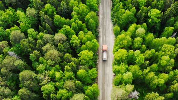 Drone View of Truck Moving Among Green Summer Forest