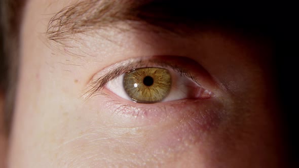 Human Eye Iris Opening Pupil Eye with Red Blood Capillaries alt