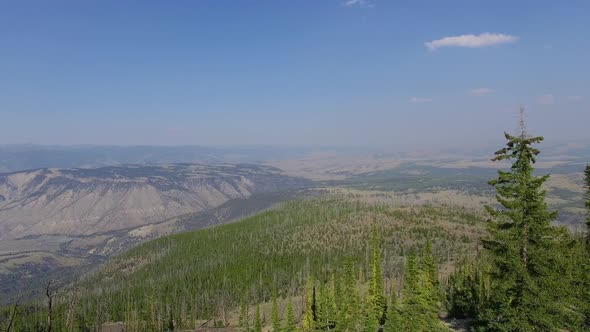 Camera flies over a thin forest with mountain ranges covering the entire horizon alt