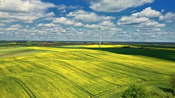 Yellow rape fields and wind turbine. Agriculture in Poland. alt