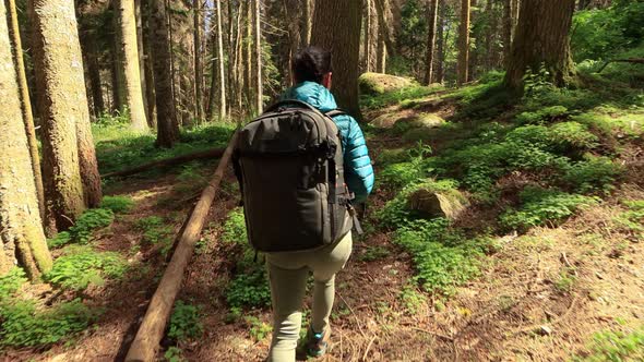 Hiking Woman Walk with a Hiking Backpack in Spring Green Forest alt