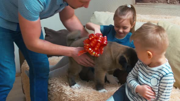 Daddy bringing puppy to children