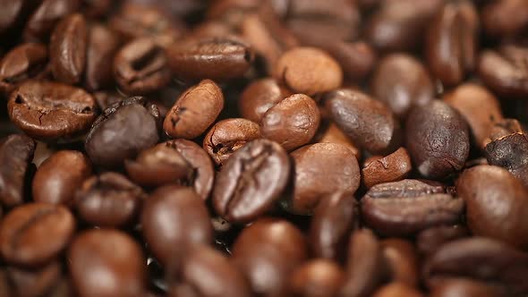 Roasted Natural Brown Coffee Beans Grown and Processed for Export, High Quality alt