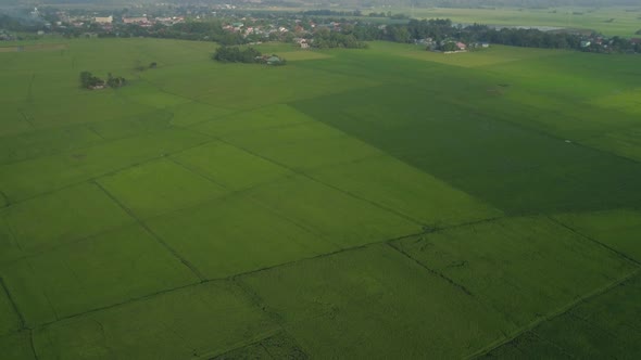 Tropical Landscape with Farmland, Mountains alt