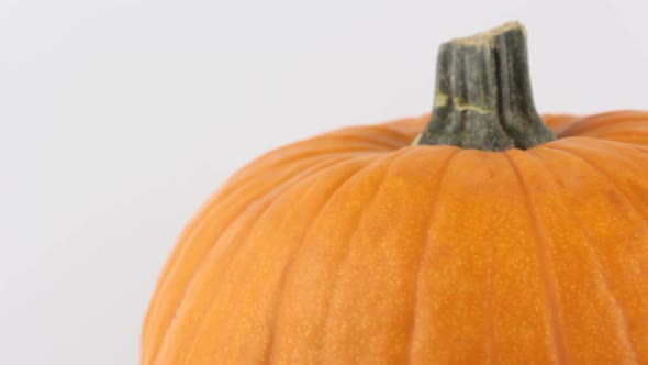 Halloween Pumpkin Rotates on a White Background alt