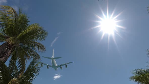 Travel by plane to the sea and palm trees and the beach.