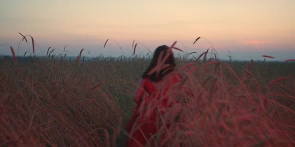 A Girl in a Red Dress is Walking Through a Field at Sunset