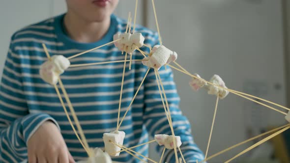 Schoolboy setting up construction during a science lesson alt