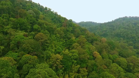 Drone Shot of Thailands Primeval Rainforest on Mountain Ridge